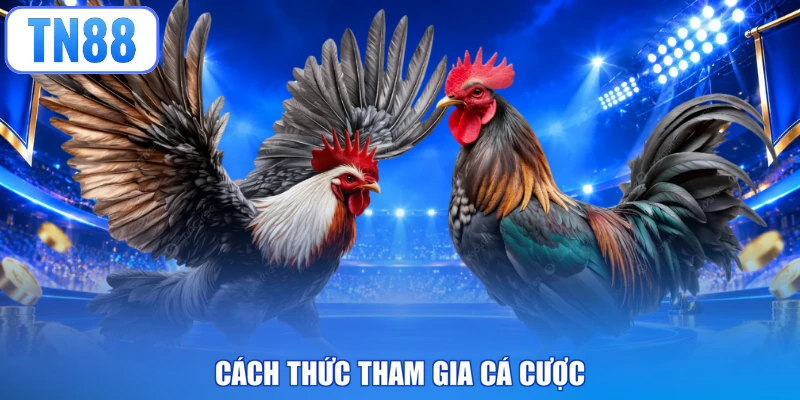 Cách thức tham gia cá cược