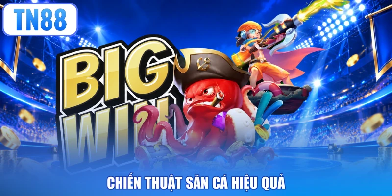 Chiến thuật săn cá hiệu quả